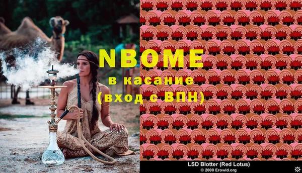 спайс Елизово