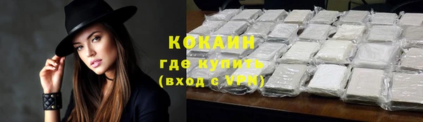 PSILOCYBIN Заволжск