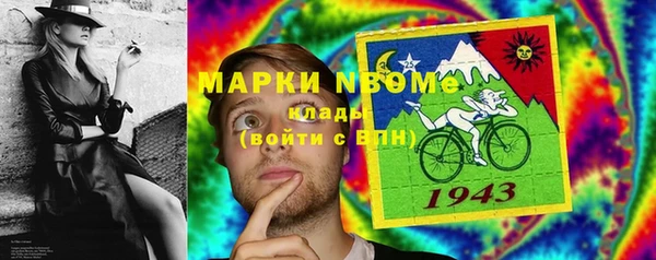 амф Ельня