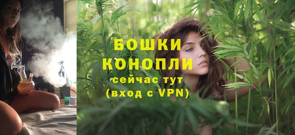 PSILOCYBIN Заволжск