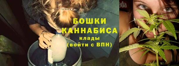 спайс Елизово