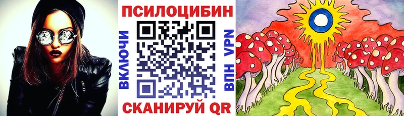 Галлюциногенные грибы Psilocybe  ссылка на мегу зеркало  Лысково 
