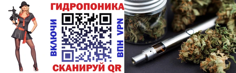 хочу   Лысково  Бошки марихуана Amnesia 